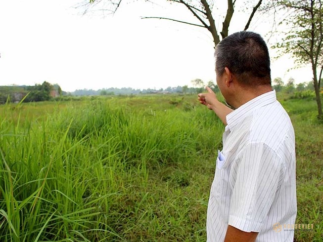 Hoang mang vì ‘cò’ dồn dập hỏi mua đất