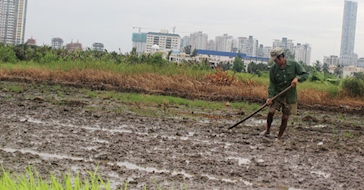 TP.HCM: 25 năm “bỏ quên” một siêu dự án