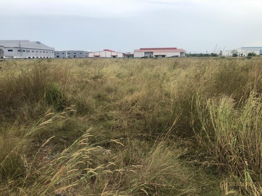 Cho thuê hoặc hợp tác đầu tư đất depot - xây dựng kho xưởng dài hạn
