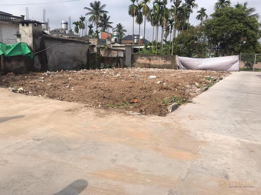 Đất Nền Kim Thành Hải Dương Cạnh Chợ Cạnh Trường Học Đường 6m Nở Hậu