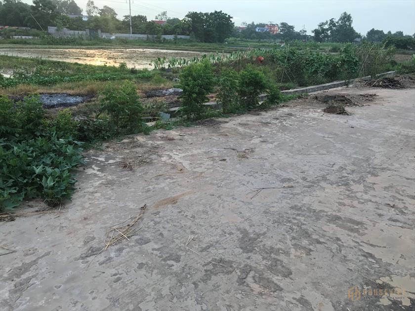Cho thuê đất sản xuất nông nghiệp ruộng đất ở Thị Trấn Vôi Lạng Giang