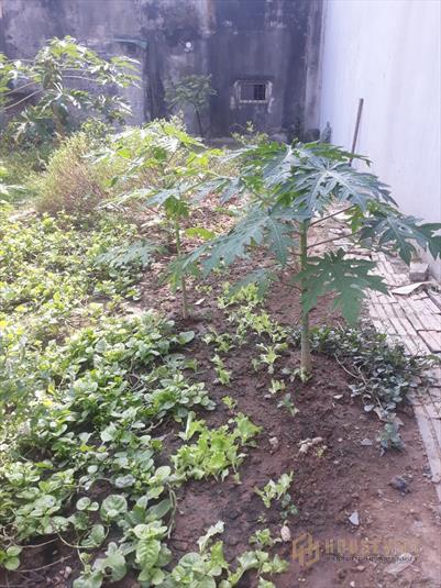 Bán 40m đất xã tả thanh oai giá 28 triệu