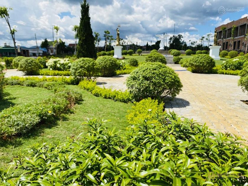 Bán đất nền Panamera, Bảo Lâm, Lâm Đồng