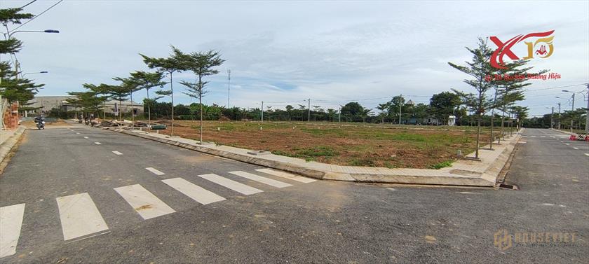 Bán đất full thổ sổ trao tay Tân Triều,Tân Bình,Vĩnh Cửu