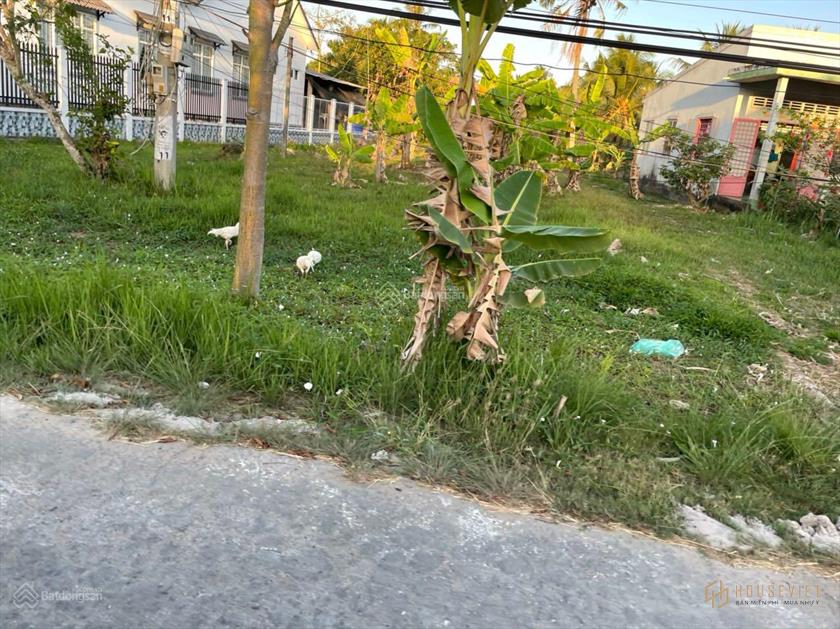 Bán đất nền thổ cư giá 500 triệu/nền, Châu Thành Bến Tre