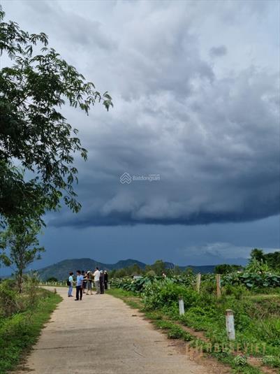 Bán 9ha đất Bắc Bình, Bình Thuận siêu đẹp, siêu rẻ
