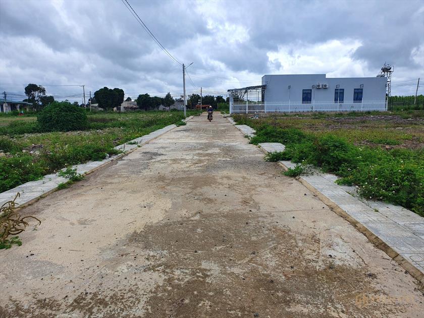 Bán 200m2 đất thích hợp đầu tư tại xã Tân Hội, Đức Trọng, Lâm Đồng