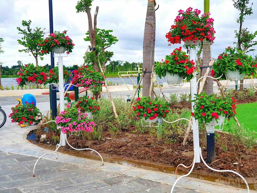 Bán đất nền Trung Tâm TP Cà Mau - DA Happy Home Cà Mau
