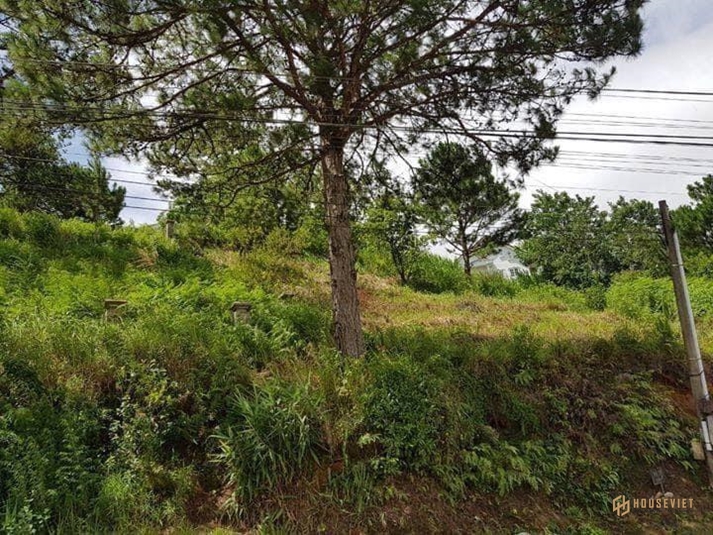 Đất biệt thự view đỉnh đồi đống đa - ngay cổng làng biệt thự osaka