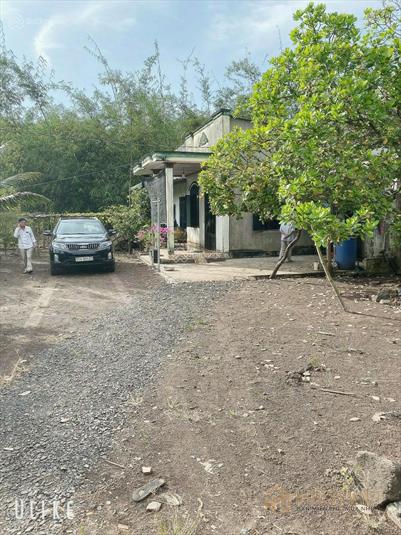 CHÍNH CHỦ BÁN 3HA2 ĐẤT VƯỜN XUÂN QUẾ, CẨM MỸ, CÓ SUỐI CHẢY QUANH NĂM,