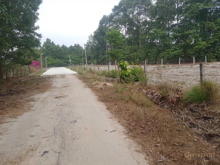 CHÍNH CHỦ GỬI BÁN 6700M2 ĐẤT PHÂN THỬA PHƯỚC BÌNH