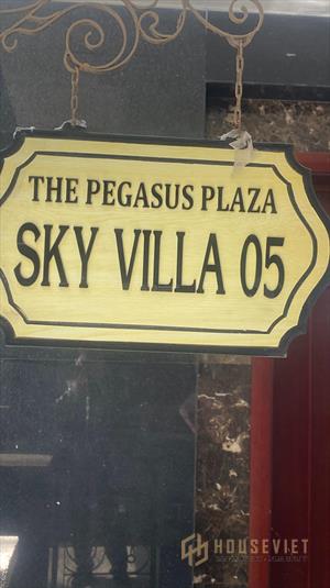Bán căn hộ skyvilla toà nhà The Phegasus Plaza diện tích 470m2