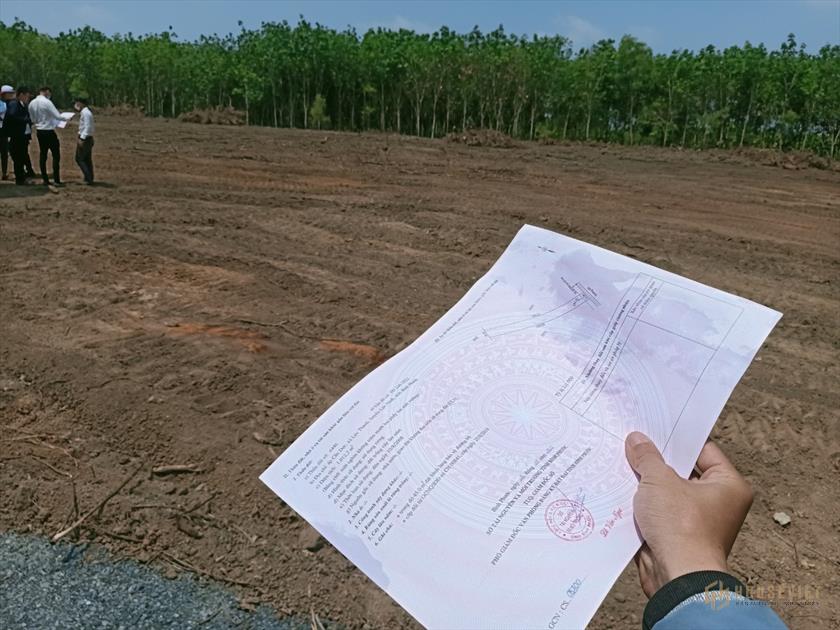 Cần Thanh Lý 2 Sổ Đất 1.015m2 Giáp KCN Gần Đường Cao Tốc Xuyên Á 550tr