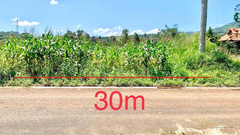 2433m2 thanh lí lỗ đất ngay chợ Lộc Quảng vào 2p 810 triệu