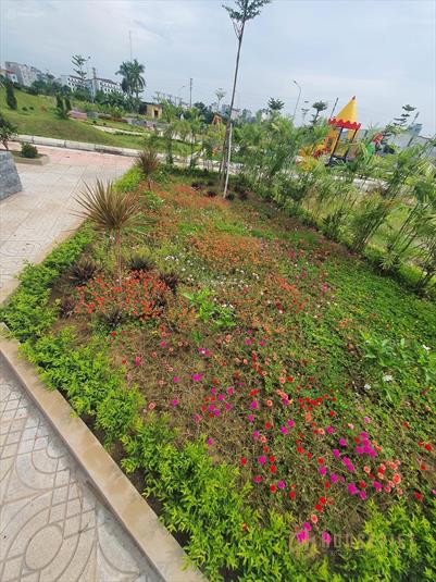 Chính chủ muốn bán 2 lô đất nền đường 15m dãy LK09