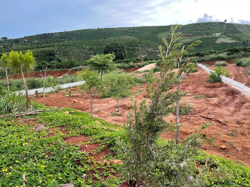 Cần bán gấp lô đất hơn 1 sào nghỉ dưỡng tại Nam Hà, bao 200m2 thổ cư