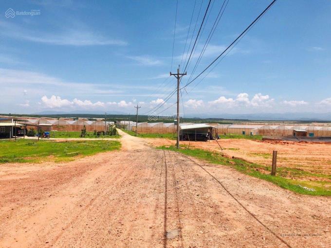 Đón đầu cao tốc,sân bay Phan Thiết,đất biển Bình Thuận,7000m2, 100k/m2