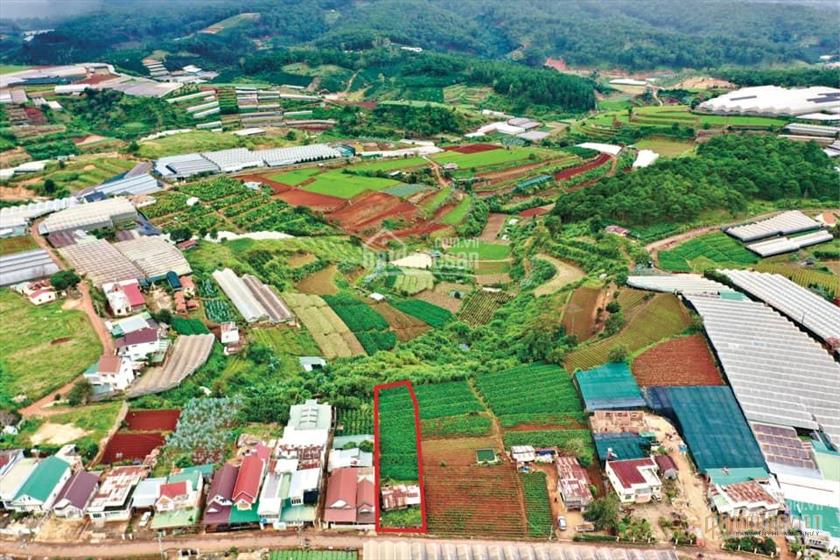 Bán 1165m2 đất xây biệt thự nghỉ dưỡng, view thung lũng sương mù Đà Lạt
