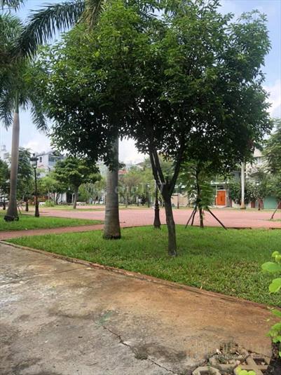 Biệt thự MT đường 30 khu Ao Sen-Tên Lửa