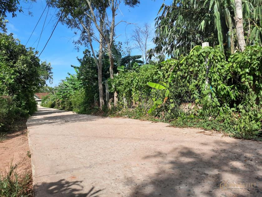 MUA BÁN ĐẤT HẢI LỆ, THỊ XÃ QUẢNG TRỊ, KHÔNG NGẬP LỤT