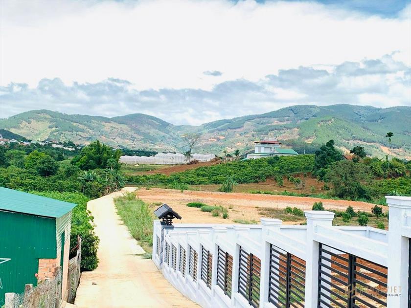 BÁN LỖ 684M2 KHU PHỐ BẠCH ĐẰNG CÁCH NHỰA 500M GIÁ RẺ