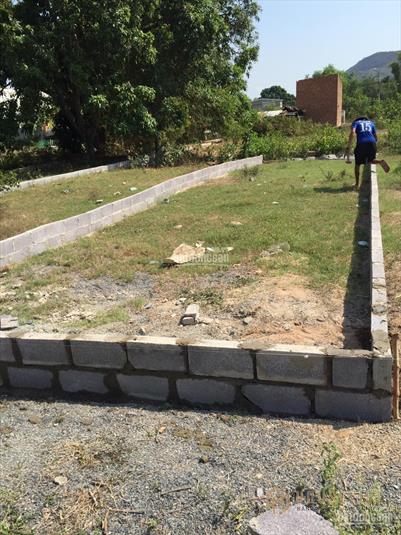 Chính chủ bán gấp đất Phước Đồng, 100m2 thổ cư