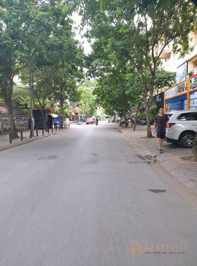 Bán Đất_Tặng Nhà Ngõ 118 Nguyễn Khánh Toàn, Lô Góc_Vỉa Hè 202M2, MT 12.5m, Giá Thương lượng 23 Tỷ