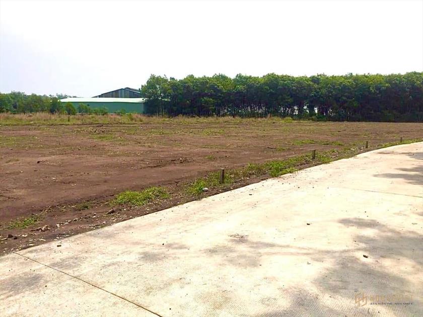 Ngợp NH bán rẻ lô đất cạnh KCN Tân Quan Chơn Thành giá cắt lỗ 650tr