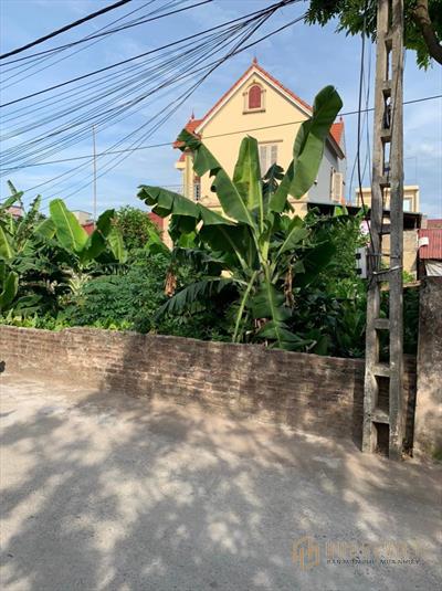 Bán hạ giá đất gần khu Đấu Giá Tử Dương Tô Hiệu, ô tô tránh sổ đỏ giao