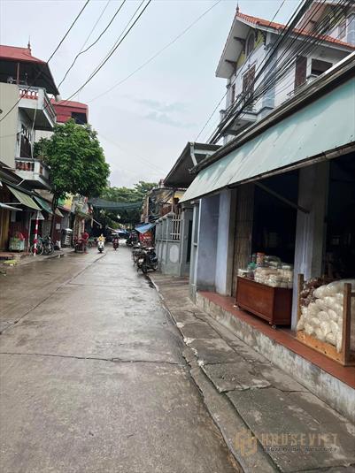 Cần bán nhanh 50.5m2 đất Xâm Động Vân Tảo Vành Đai 4, ô tô, chỉ 1,03tỷ