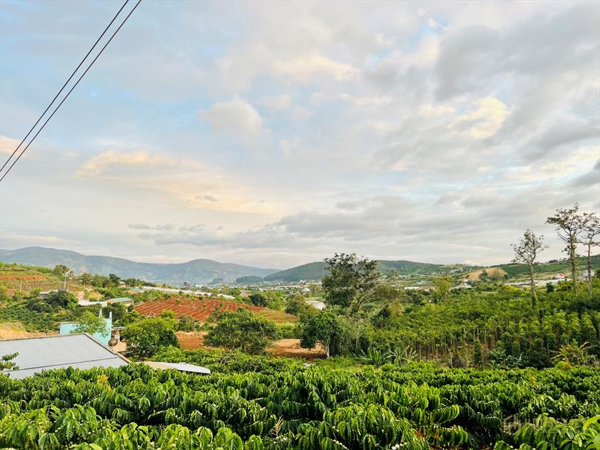 ĐẤT SÀO GIÁ RẺ NAM BAN, 870 ngàn/m2, 200m2 THỔ CƯ
