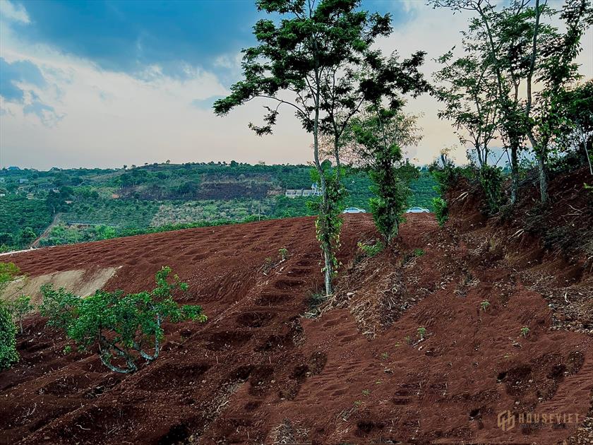 CHỦ ĐẤT VỠ NỢ CẦN BÁN GẤP TRONG THÁNG, VIEW TOÀN THỊ TRẤN NAM BAN