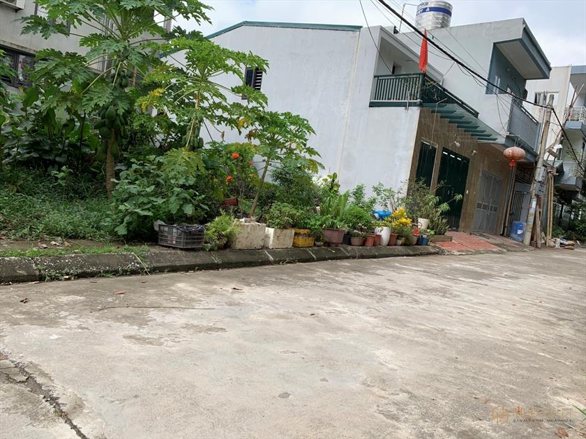 Cần bán gấp 256m2 đất Thường Tín mặt tiền 15m giá 11 triệu/m2