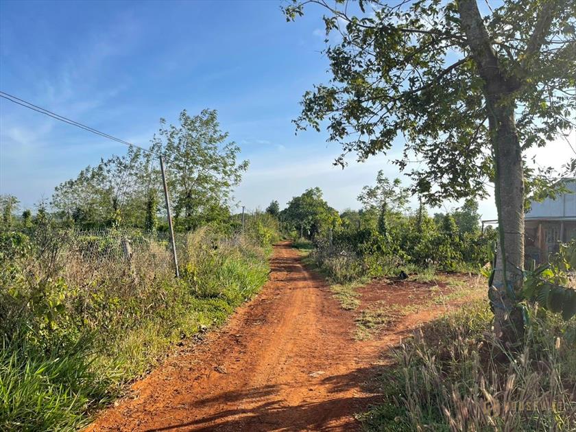 GẦN NHỰA, ĐẤT SIÊU RẺ, ĐẤT GIÁ RẺ.