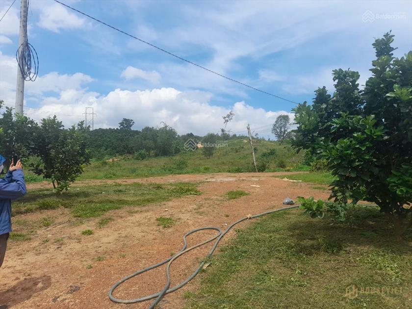 HIỆN TƯỢNG " LẠ " TRÊN THỊ TRƯỜNG BẤT ĐỘNG SẢN ĐỒNG NAI