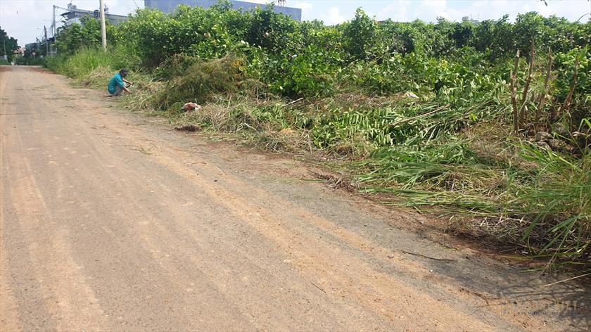 Cần Bán Lô Đất cách QL1A 1km tại xã Hưng Thịnh, Trảng Bom, Đồng Nai