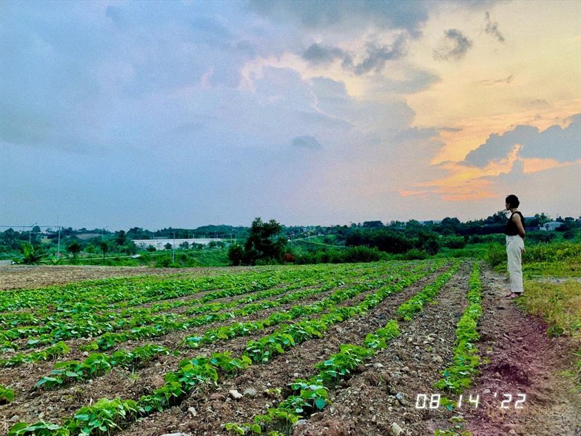 CẦN BÁN ĐẤT VƯỜN NGHỈ DƯỠNG VIEW BỜ HỒ, ĐẬP SUỐI RAO CHÂU ĐỨC