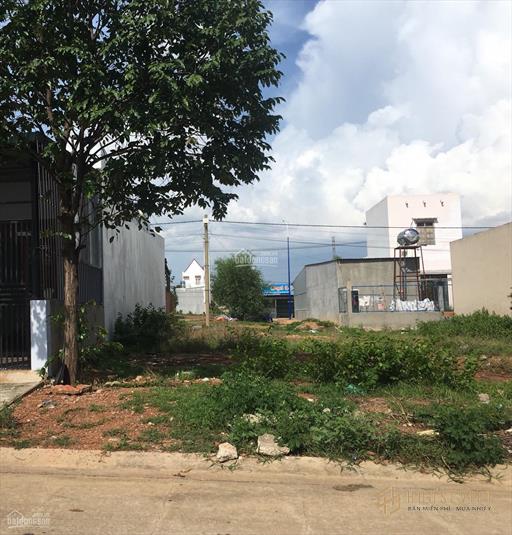 VỢ CHỒNG TÔI CẦN BÁN ĐI LÔ ĐẤT VƯỜN 220M2 ĐOÀN NGUYỄN TUẤN
