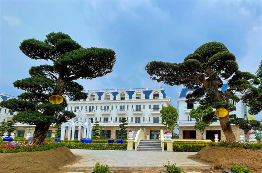 Đất nền thổ cư Five Star Eco City Ngay MT Đinh Đức Thiện - Long An