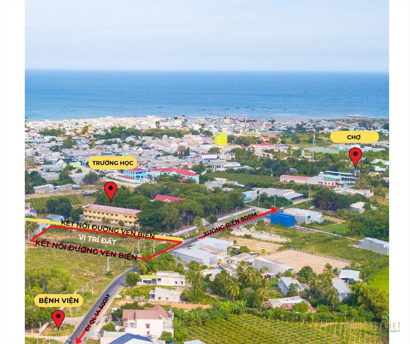 Đất biển Bình Thuận Đường nhựa 29m. Giá 1ty2 quay đầu
