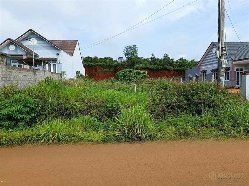 Chợ Lộc Châu vào ngay mặt đường nhựa (11x18) full thổ giá 727 triệu