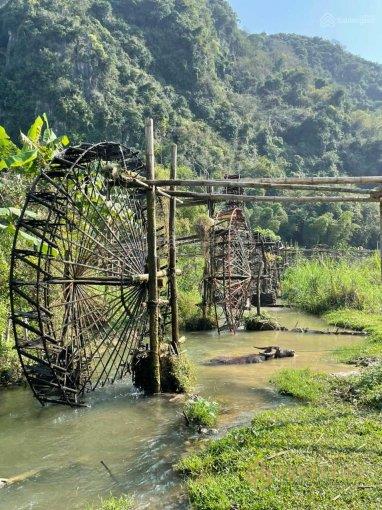 CHÍNH CHỦ BÁN ĐẤT NỀN TRUNG TÂM PÙ LUÔNG 1300M2 MẶT ĐƯỜNG 15C