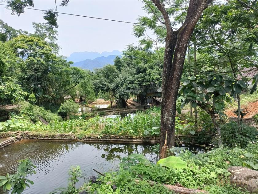 Đỉnh cao đầu tư 1300m2 đất nền trung tâm khu du lịch Pù Luông 40m