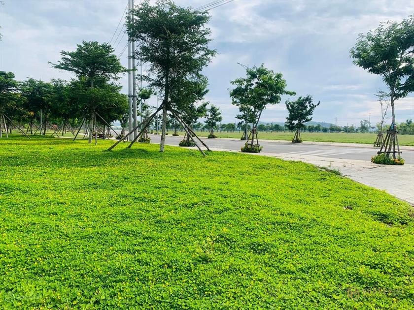 Bán lô đất thổ cư tại Khu Dịch Vụ VSIP Quảng Ngãi, tiềm năng đầu tư
