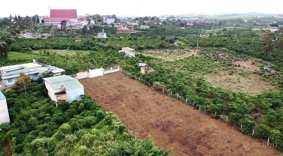 Đường tránh Ql20, tôi có rào lô 905m2 đất thổ cư 715tr sổ hồng