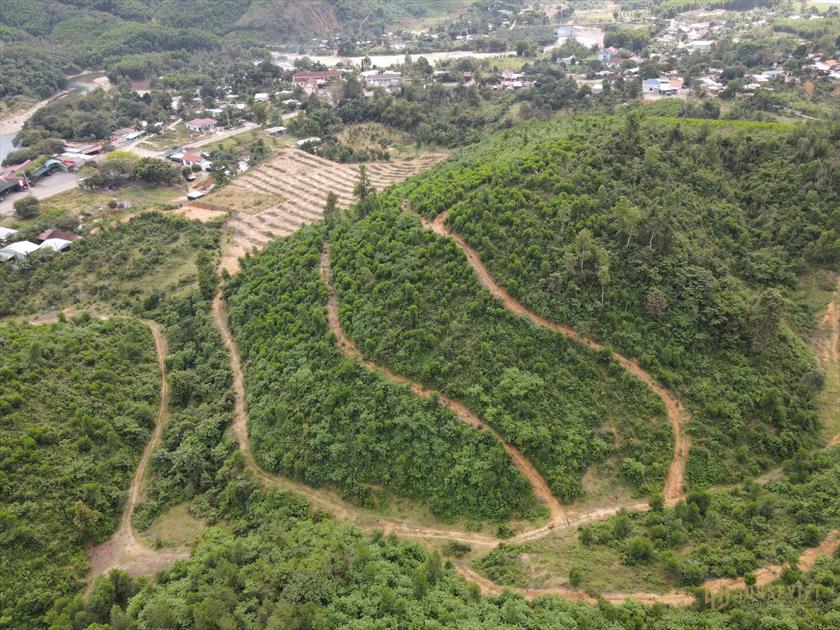 Bán quả đồi 18.000m2, cách QL1A 1km, Tân Nghĩa, Hàm Tân, Bình Thuận