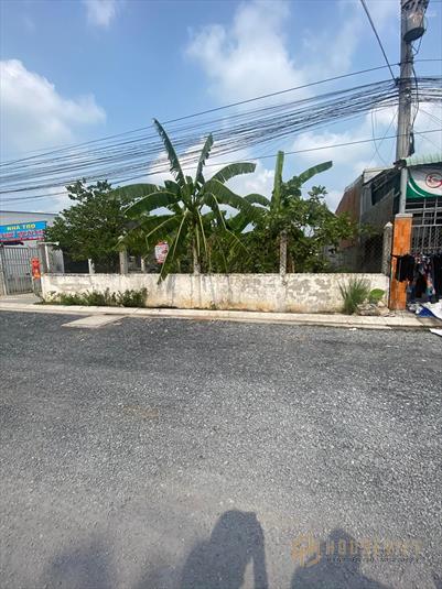 BÁN ĐẤT MẶT TIỀN NHỰA GÒ HƯU 10X100M, FULL THỔ CƯ