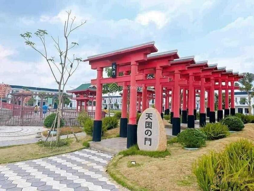 Đất Young Town siêu rẻ, Đức Hòa, DT 96m2/890 triệu, sổ hồng riêng