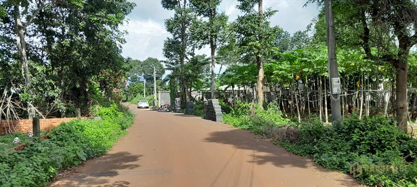 Đất nhà vườn 420m2, ít cạnh tranh, lợi nhuận cao giá đầu tư.