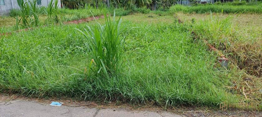 Đất Thạnh Phú , Đất thị trấn thạnh phú, bến tre - ngay nhà máy nước